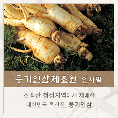 인사말