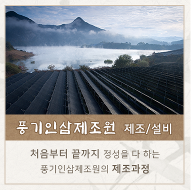 제조/설비